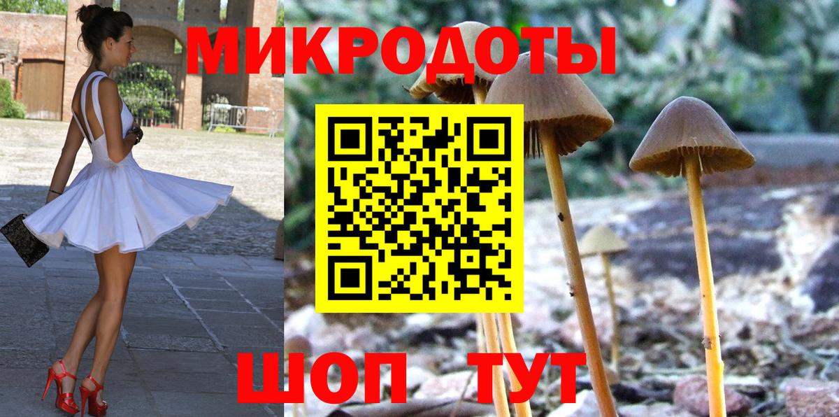 Псилоцибиновые грибы мицелий  закладка  Курган  Вход с VPN 
